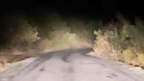 Bitlis’te 1 değil 2 değil onlarcası aracın yolunu kesti! O anlar cep telefonuyla kayda alındı