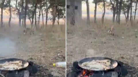 Kars'ta yerleşim yerine kadar indiler. Gören vatandaşlar tedirgin oldu