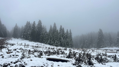Bolu’nun yüksek kesimlerinde kar etkisini artırdı. Ormanlar beyaz örtüyle kaplandı