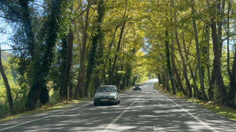 Bartın-Karabük yolunda sonbahar mucizesi: ağaçlar tünel oluşturdu manzara nefes kesti
