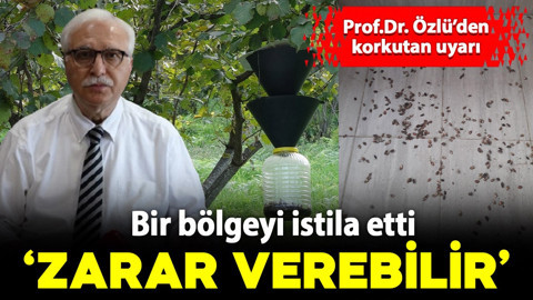 Prof. Dr. Özlü'den korkutan 'kahverengi kokarca' uyarısı: "Zarar verebilir"