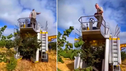 1 saatte 5,5 dönüm araziyi hasat ediyor! Süper makine gündeme oturdu