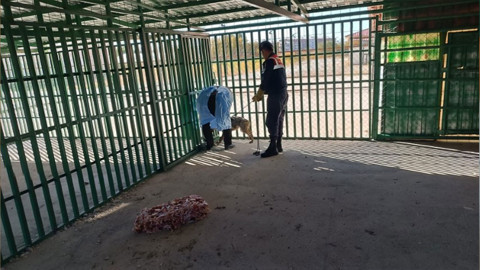 Van’da evin önüne zincirle bağlandı, görüntüler infial yarattı! Dakikalar içinde ekipler harekete geçti