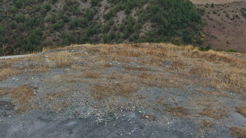 Kastamonu’da dronla görüntülendiler! Sürü halinde ormanda beliren canlılar görenleri büyüledi