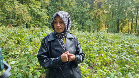 Kütahya’da üretici ilk hasada gitti, karşısında onları buldu! 3 yıllık emeği dakikalar içinde yok oldu