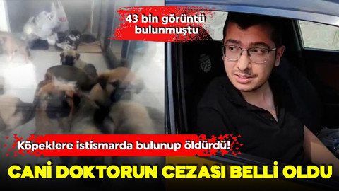 Köpeklere dehşeti yaşattı! Cani doktorun cezası belli oldu: 43 bin görüntü bulunmuştu