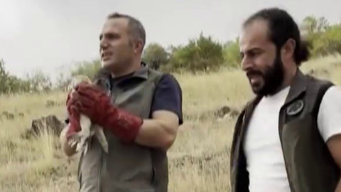 Erzurum’da bitkin halde bulunan canlı tedavi edildi! Yeniden doğaya salındı