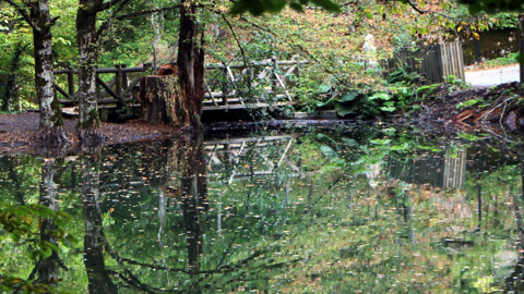 Bolu’ya sonbahar geldi, Yedigöller tabloya döndü! Dronla kaydedilen manzara mest etti