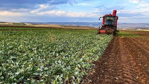 Bakan Yumaklı duyurdu! Zirai dondan etkilenen çiftçilere müjde!