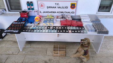 Şırnak'ta kaçakçılık operasyonu: 3 kişi tutuklandı