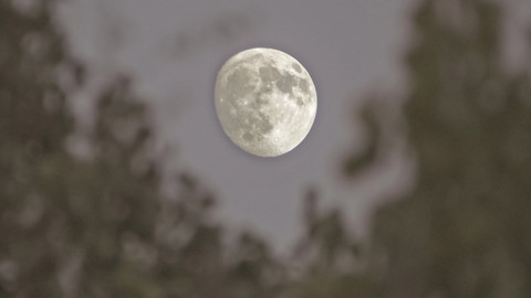 Bitlis’te sonbahar geceleri büyüledi. Gökyüzüyle yeryüzü adeta birleşti
