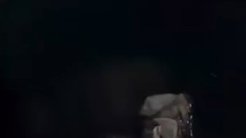 Hakkari’nin Yüksekova ilçesinde derede o nadir hayvan fark edildi! Vatandaşlar hemen kayda aldı