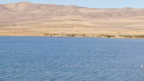 İran’daki göl kuruyunca yönlerini değiştirdiler! Van Gölü havzası onlarla doldu taştı