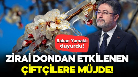 Bakan Yumaklı duyurdu! Zirai dondan etkilenen çiftçilere müjde!