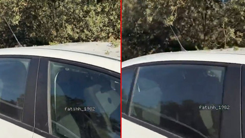 Muğla'da pikniğe giden aile, döndüğünde araçlarında feci manzarayla karşılaştı