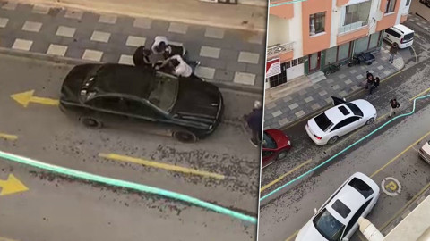 Kooperatif kavgası felakete dönüştü! Çok sayıda ölü ve yaralı var: 5 şüpheli gözaltında