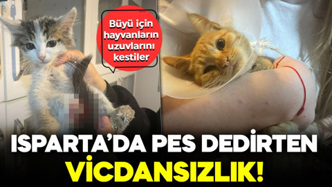 Isparta’da pes dedirten vicdansızlık! Büyü için sokak hayvanlarının uzuvlarını kesmişler