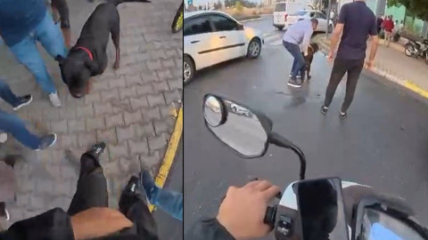Sokakta ağızlıksız gezdirilen 'Rottweiler' dehşet saçtı! Önce kadına, sonra kuryeye saldırdı: Çığlıklar ortalığı inletti