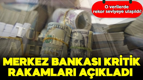 Merkez Bankası rezervleri rekor kırdı