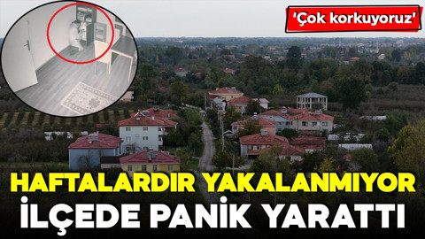 Haftalardır yakalanamıyor! İlçede paniğe neden oldu: 'Çok korkuyoruz'