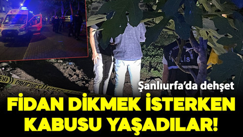 Şanlıurfa'da kan donduran olay! Çocuklar fidan dikmek isterken kabusu yaşadılar