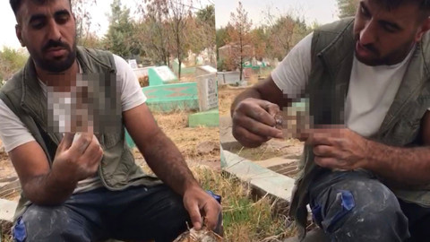 Mezarlıkta korku filmlerini aratmayan olay! Bulduğu şey görenleri dehşete düşürdü