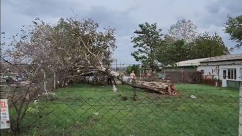 Bursa'da lodos: Ağaçlar devrildi, çatılar uçtu