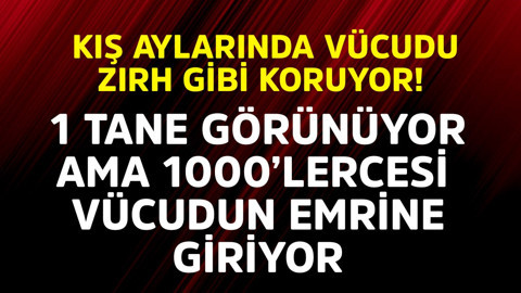 Kış aylarında vücudu zırh gibi koruyor! 1 tane görünüyor ama 1000'lercesi vücudun emrine giriyor