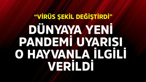 Dünyaya yeni pandemi uyarısı o hayvanla ilgili verildi "Virüs şekil değiştirdi"