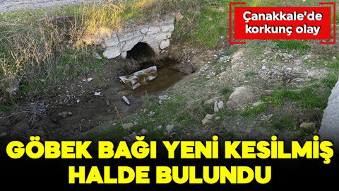 Korkunç olay! Göbek bağı yeni kesilmiş halde bulundu