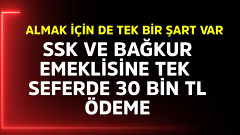 SSK ve BAĞKUR emeklisine tek seferde 30 bin TL ödeme! Almak için de tek bir şart var