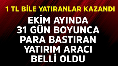 1 TL bile yatıranlar kazandı! Ekim ayında 31 gün boyunca para bastıran yatırım aracı belli oldu
