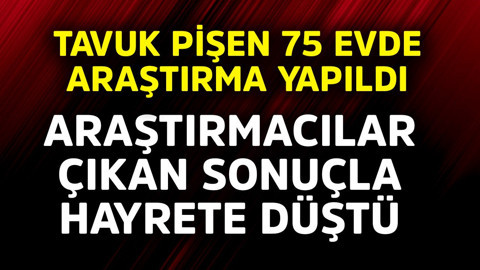Tavuk pişen 75 evde inceleme yapıldı. Araştırmacılar çıkan sonuç karşısında hayrete düştü