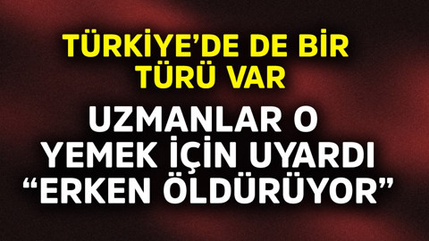 Türkiye'de de bir türü var! Uzmanlar o yemek için uyardı "Erken öldürüyor"