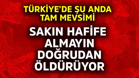 Türkiye'de şu anda tam mevsimi! Sakın hafife almayın, doğrudan öldürüyor