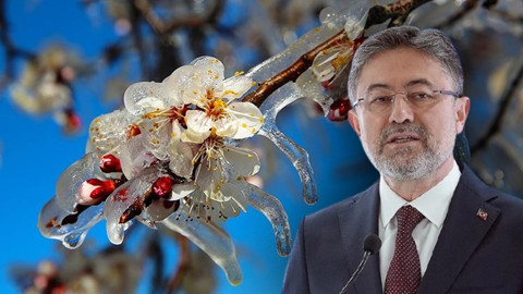Zirai dondan etkilenen çiftçiler dikkat! Bakan Yumaklı duyurdu: Paralar hesaba yatırıldı
