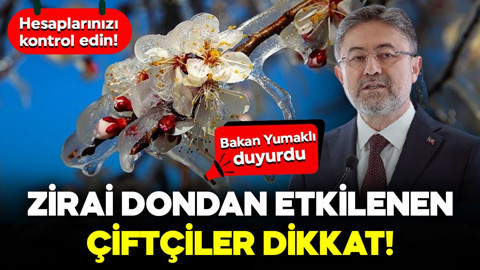 Zirai dondan etkilenen çiftçiler dikkat! Bakan Yumaklı duyurdu: Paralar hesaba yatırıldı