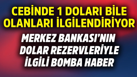 Cebinde 1 doları olanı bile ilgilendiriyor! Merkez Bankası'ndaki dolar rezerviyle ilgili bomba haber