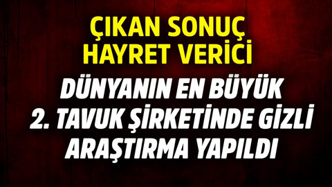 Dünyanın en büyük 2. tavuk şirketinde gizli araştırma yapıldı! Çıkan sonuç hayret verici
