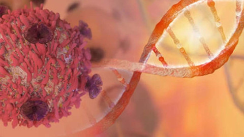 Kan kanseri tedavisinde yeni dönem