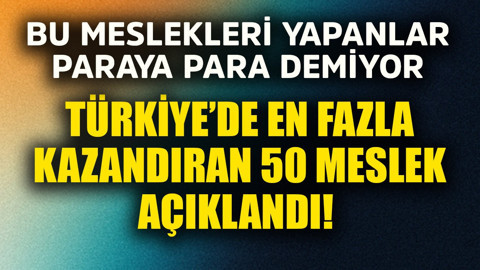 Türkiye'de en fazla kazandıran 50 meslek açıklandı! Bu meslekleri yapanlar paraya para demiyor