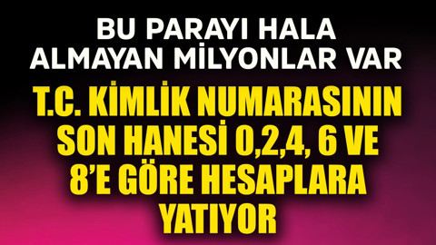 T.C. Kimlik Numarası'nın son hanesi 0,2,4,6 ve 8'e göre hesaplara yatıyor! Bu parayı hala almayan milyonlar var