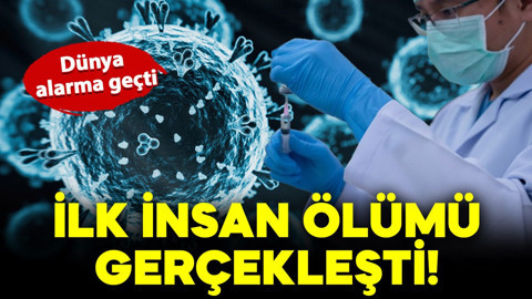 Dünya alarma geçti: H5N5 virüsü dünyada ilk kez can aldı!
