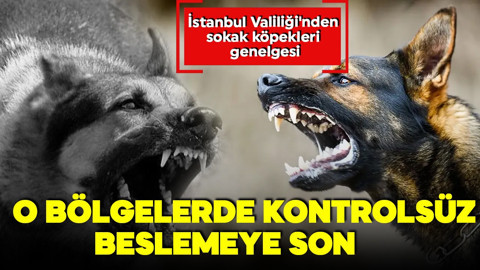 İstanbul Valiliği'nden sokak köpekleri genelgesi! O bölgelerde kontrolsüz beslemeye son!