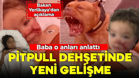 Ankara'da pitpull dehşeti! İki küçük çocuğa saldırdı! Acılı babanın sözleri yürekleri dağladı! Köpek sahibi tutuklandı