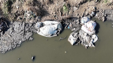 Dere yatağında mide bulandıran görüntüler! 'At ve eşekleri kesip yediriyorlar!'