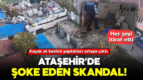 Ataşehir'de şoke eden skandal! Her şeyi itiraf etti: Kaçak at kesimi yaptıkları ortaya çıktı