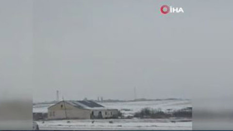 Kars'ta korkutan manzara! Karda aç kalınca 1,2,3 tanesi peş peşe şehre indi