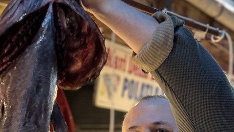 Akdeniz'de balıkçıların ağına takıldı! Boyu tam tamına 1,5 metre