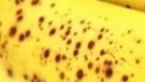 Markette kilosu 99 TL'den satılıyor! Her gün 1 tane yerseniz vücudunuzdaki değişim inanılmaz olacak